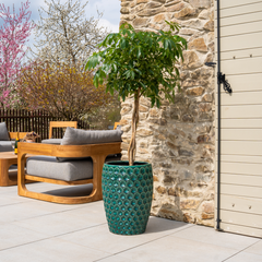 Keramický květináč Versaille - Tmavě Zelená