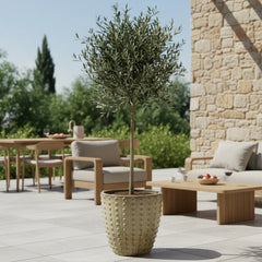 Ceramiczna doniczka Attila Brushed Bronze - ręcznie wykonana, szkliwiona doniczka z terakoty