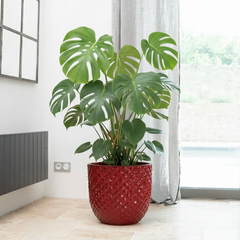 Doniczka ceramiczna Mars Imperial Red - ręcznie wykonana, szkliwiona doniczka terakotowa