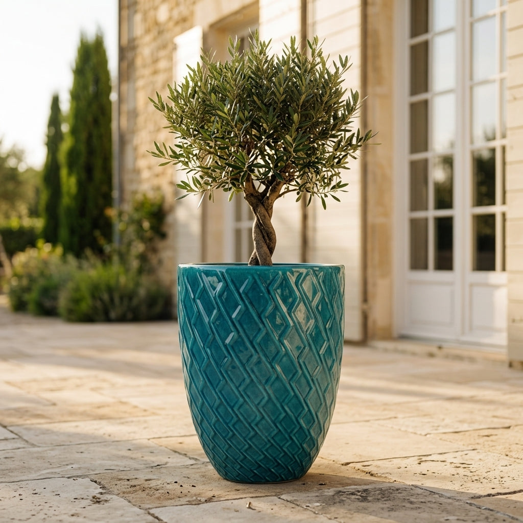 Detail na tyrkysový keramický květináč Zeus s lesklou glazurou, ozdobným reliéfem a zasazeným olivovníkem na kamenné terase.