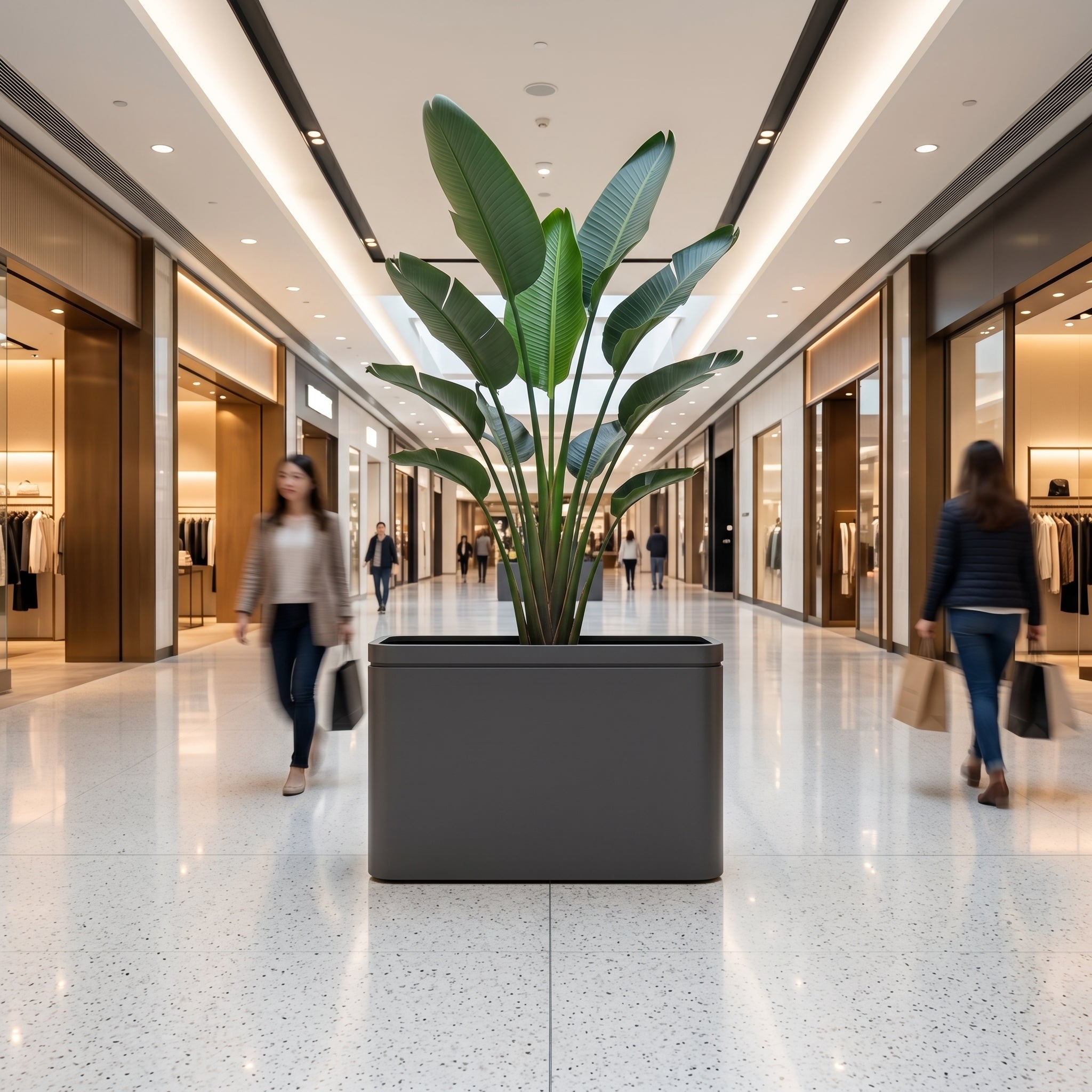 Velký pozinkovaný ocelový květináč INFINITY SQUARE - Antracitová (100 x 30 x 60 cm) s vysokou rostlinou Strelitzia nicolai uprostřed moderní chodby obchodního centra.