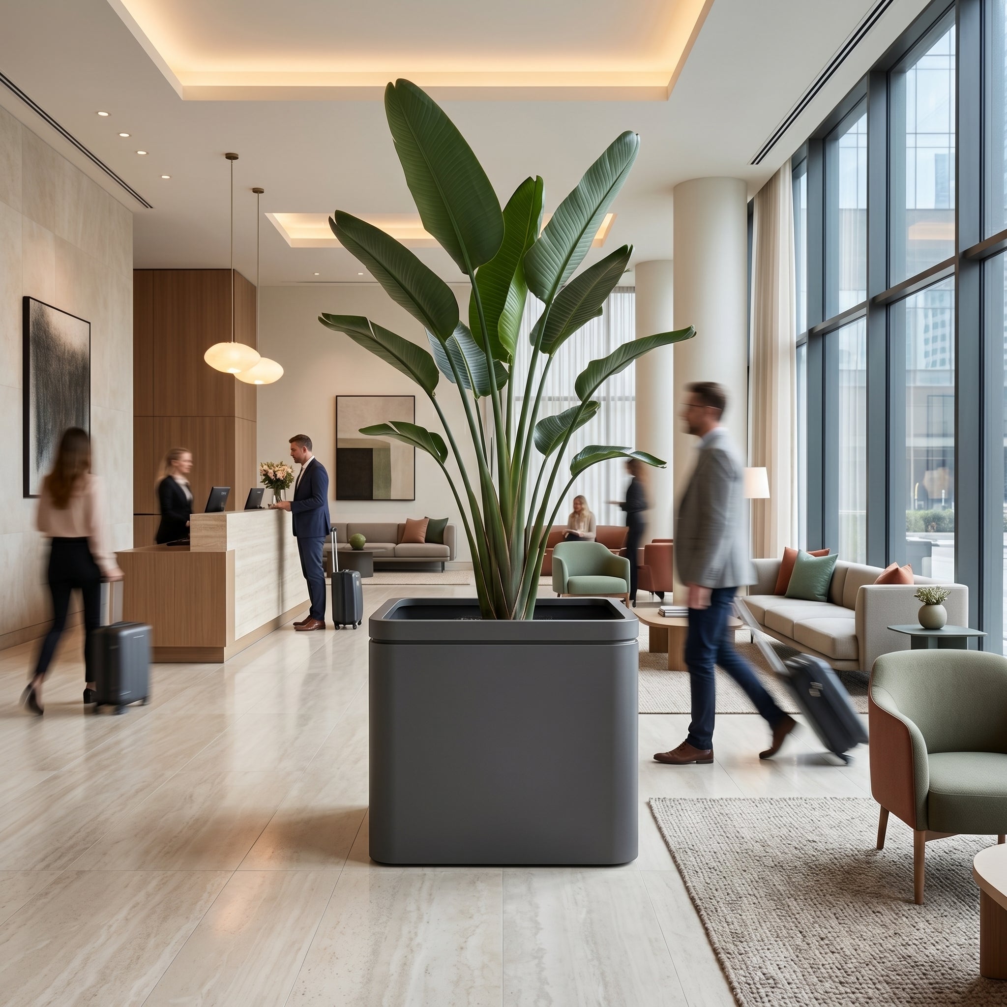 Velký pozinkovaný ocelový květináč INFINITY SQUARE - Antracitová - XL (80 x 80 x 60 cm) s vysokou strelícií jako dominanta v luxusním moderním hotelovém lobby.