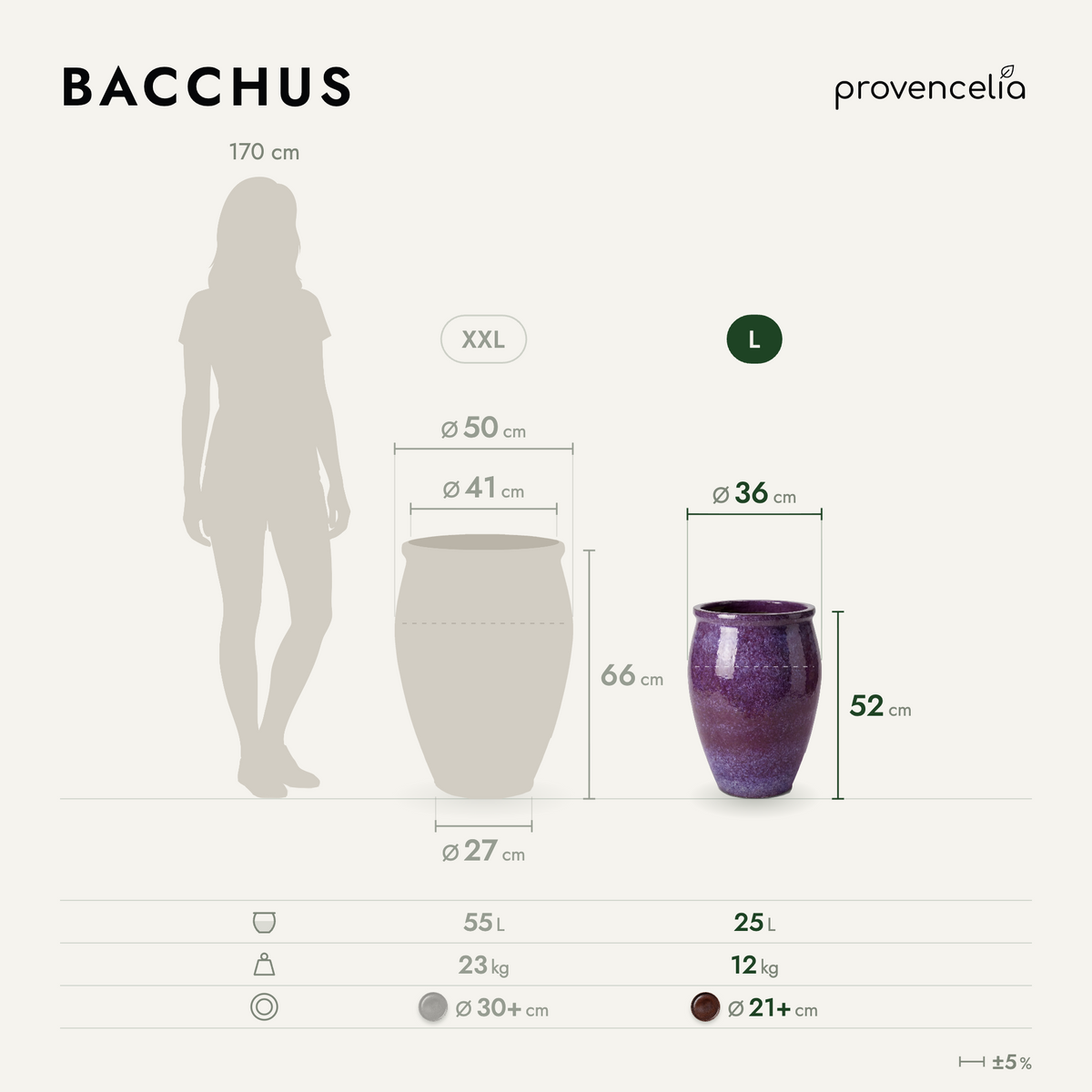 BACCHUS XL – wymiary