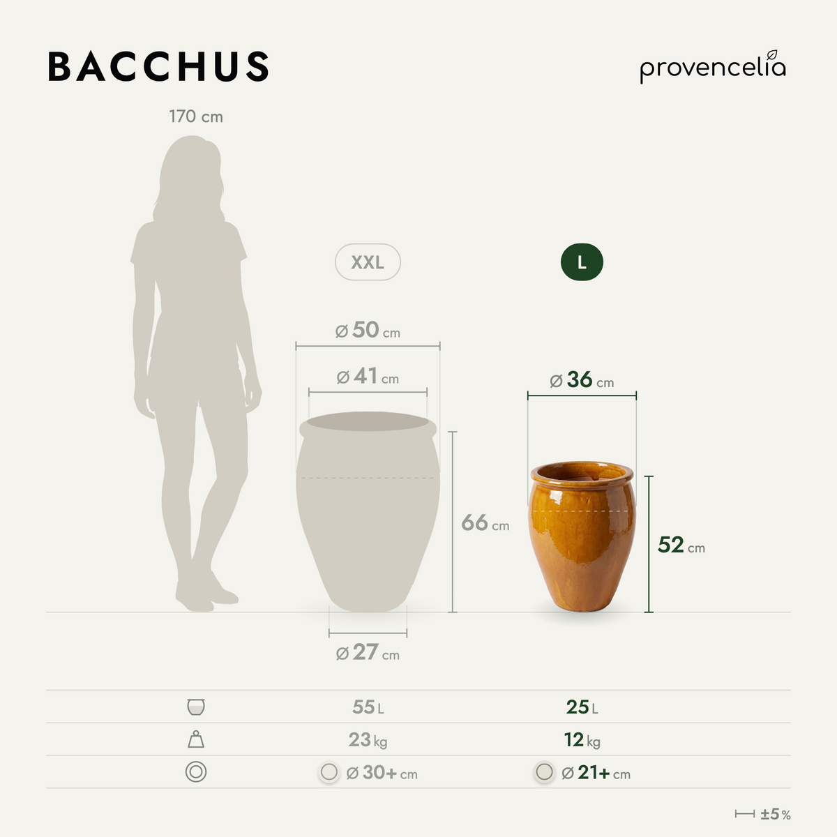 BACCHUS L – wymiary