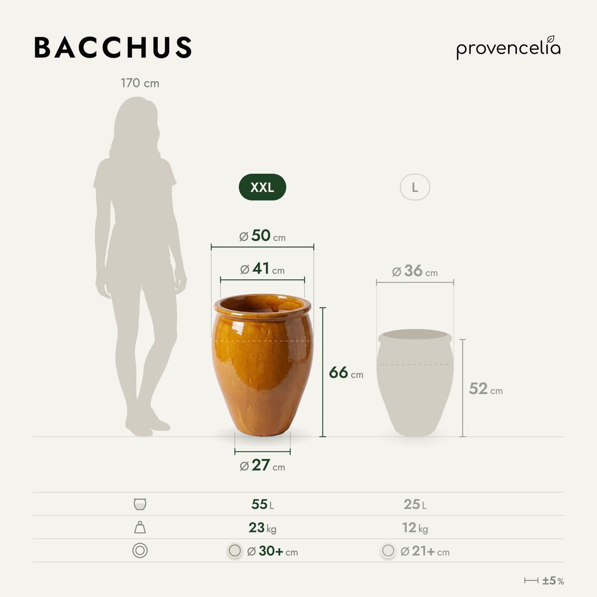 BACCHUS XXL – wymiary