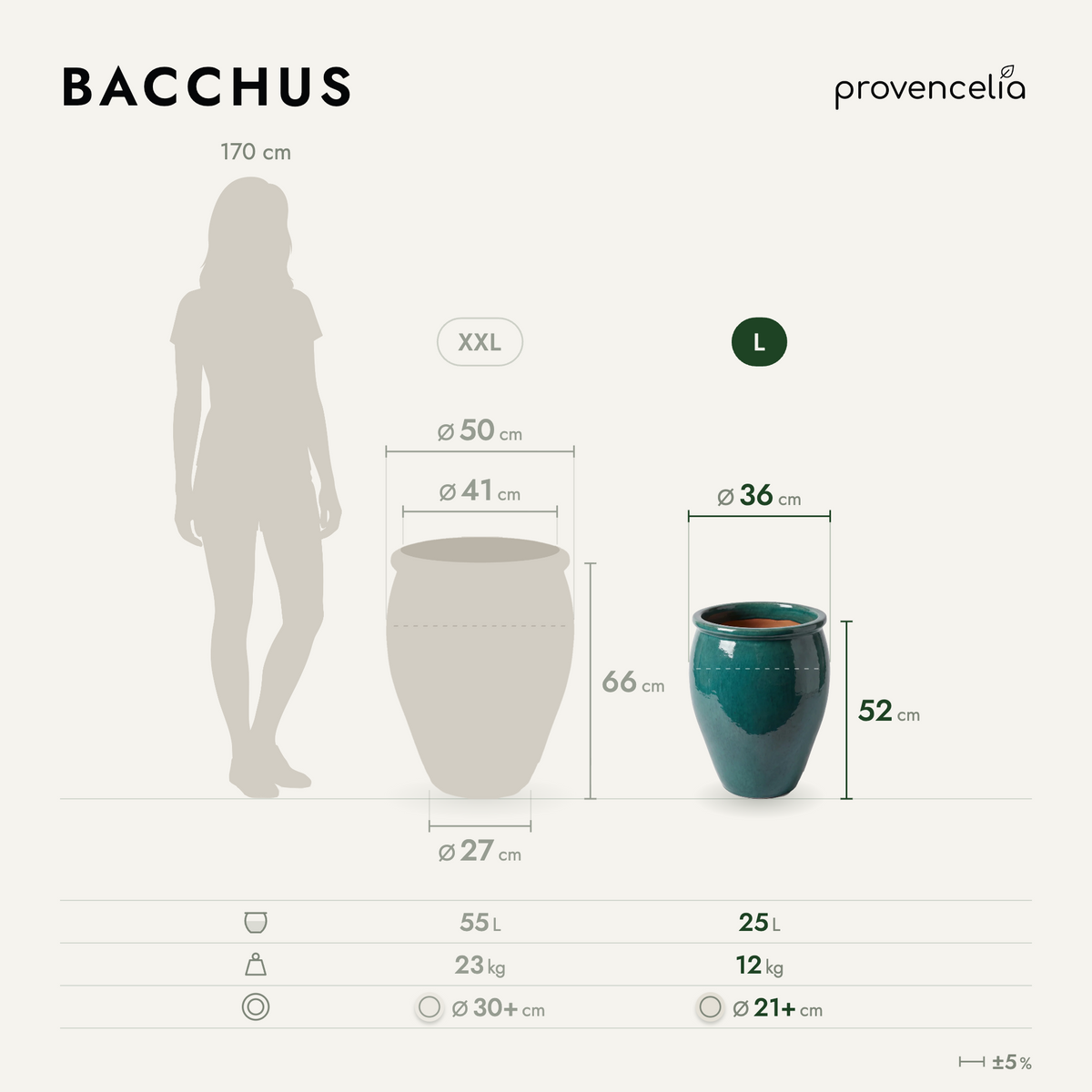 BACCHUS L – wymiary