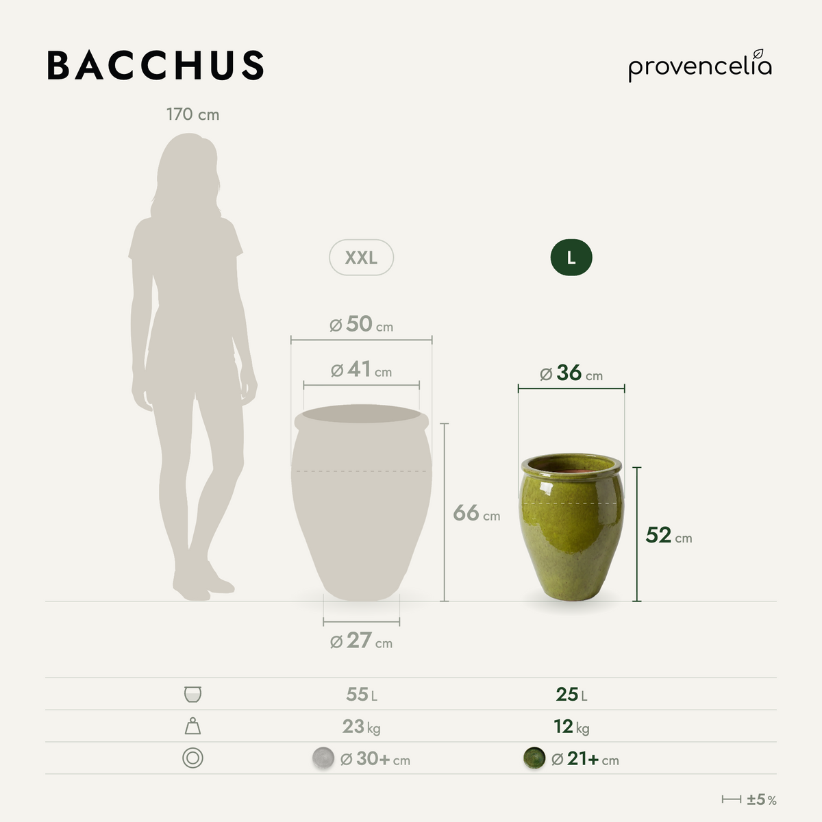 BACCHUS L – wymiary