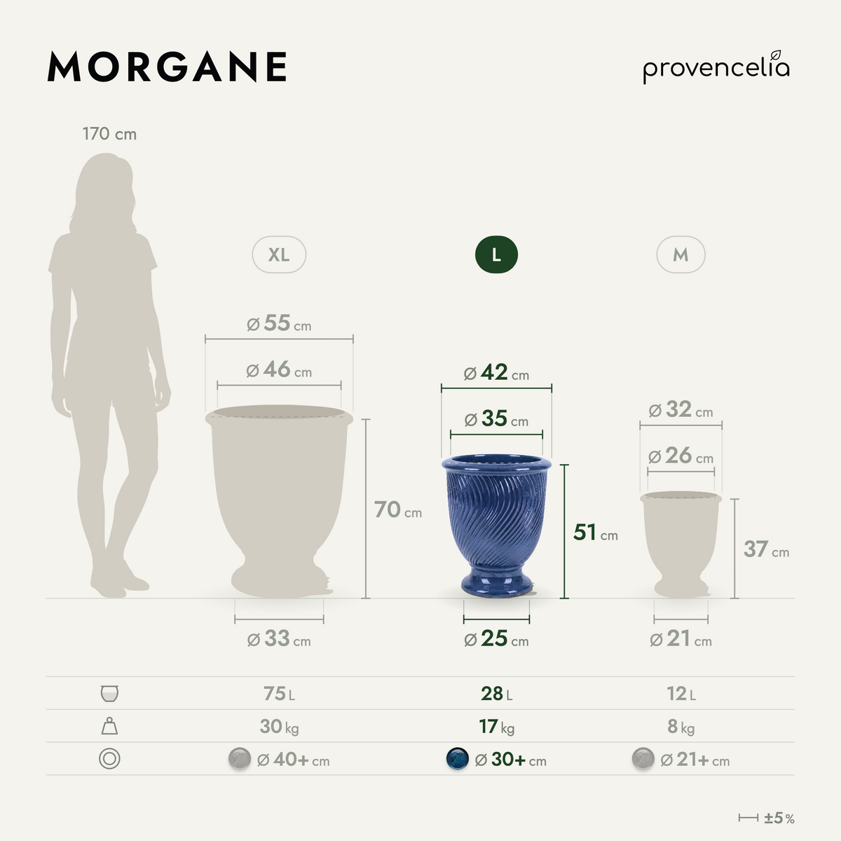 MORGANE L – wymiary