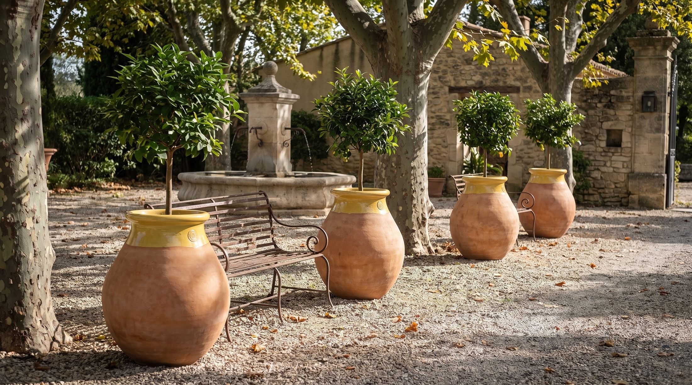 Cztery bioty Made in Provence z bukszpanami wzdłuż drogi hotelowego dziedzińca