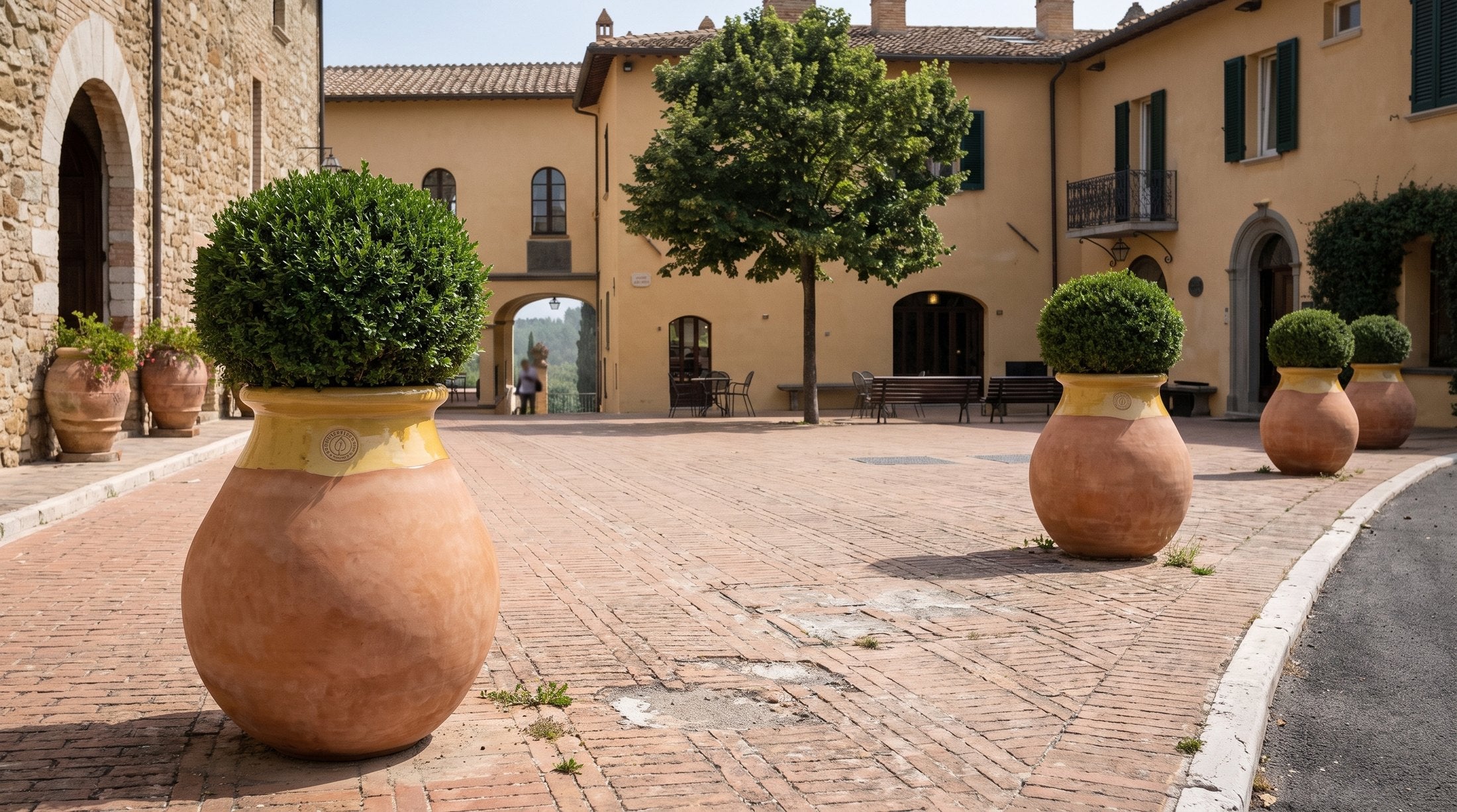 Cztery bioty Made in Provence z bukszpanami wzdłuż drogi hotelowego dziedzińca