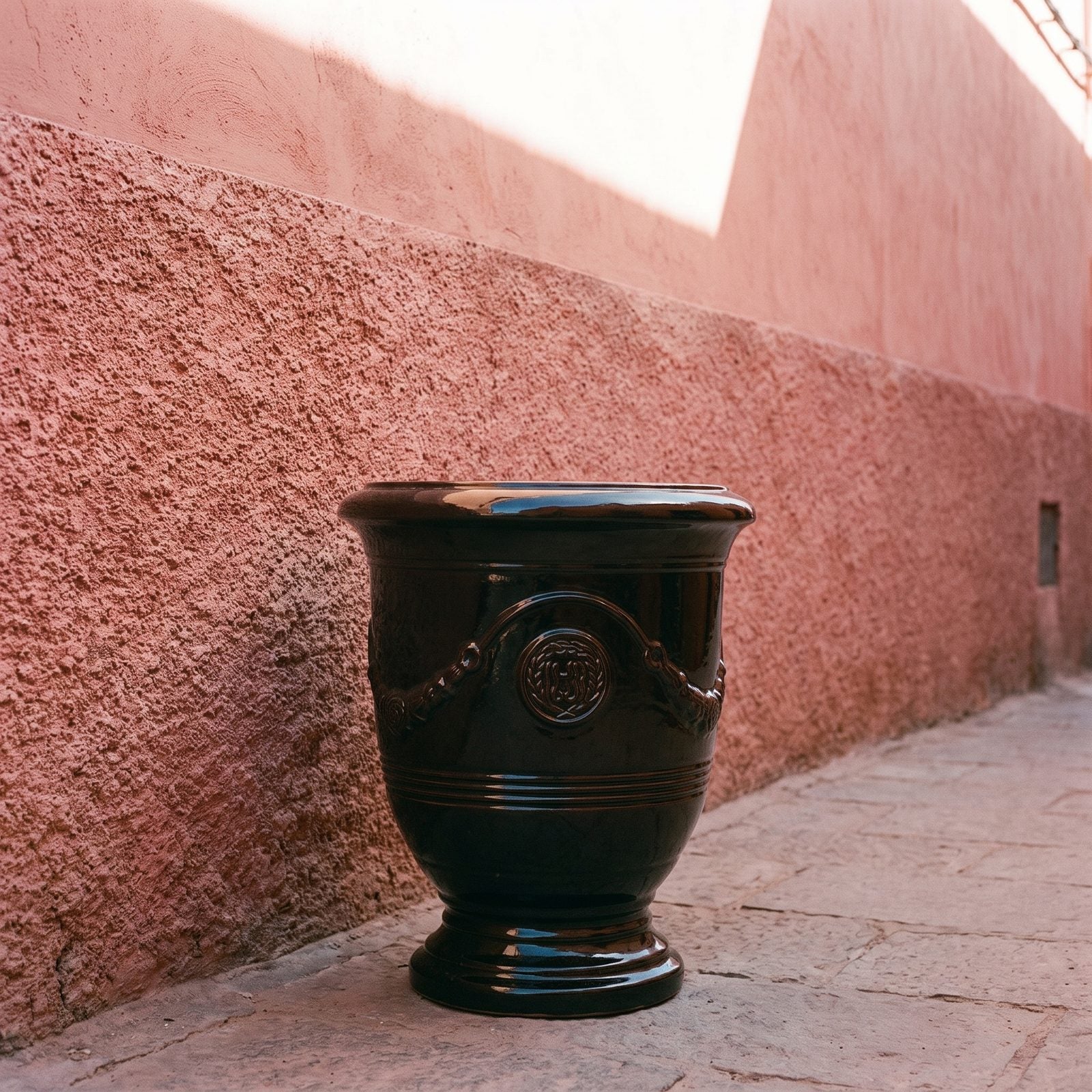 RICHELIEU Czarna przy różowym murze w Marrakeszu
