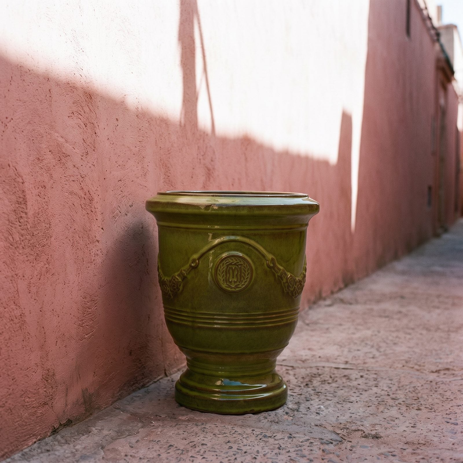 RICHELIEU Zieleń tropikalna przy różowym murze w Marrakeszu
